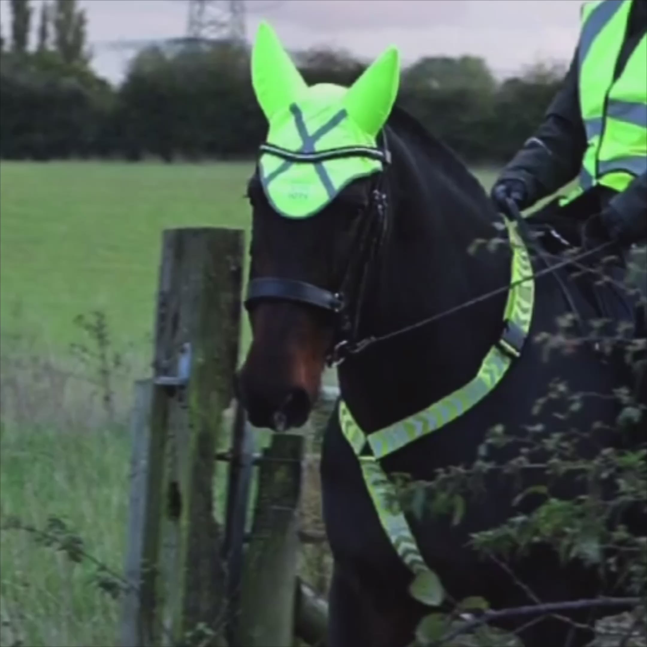 Equetech Hi-Vis Vision Horse Breastplate video