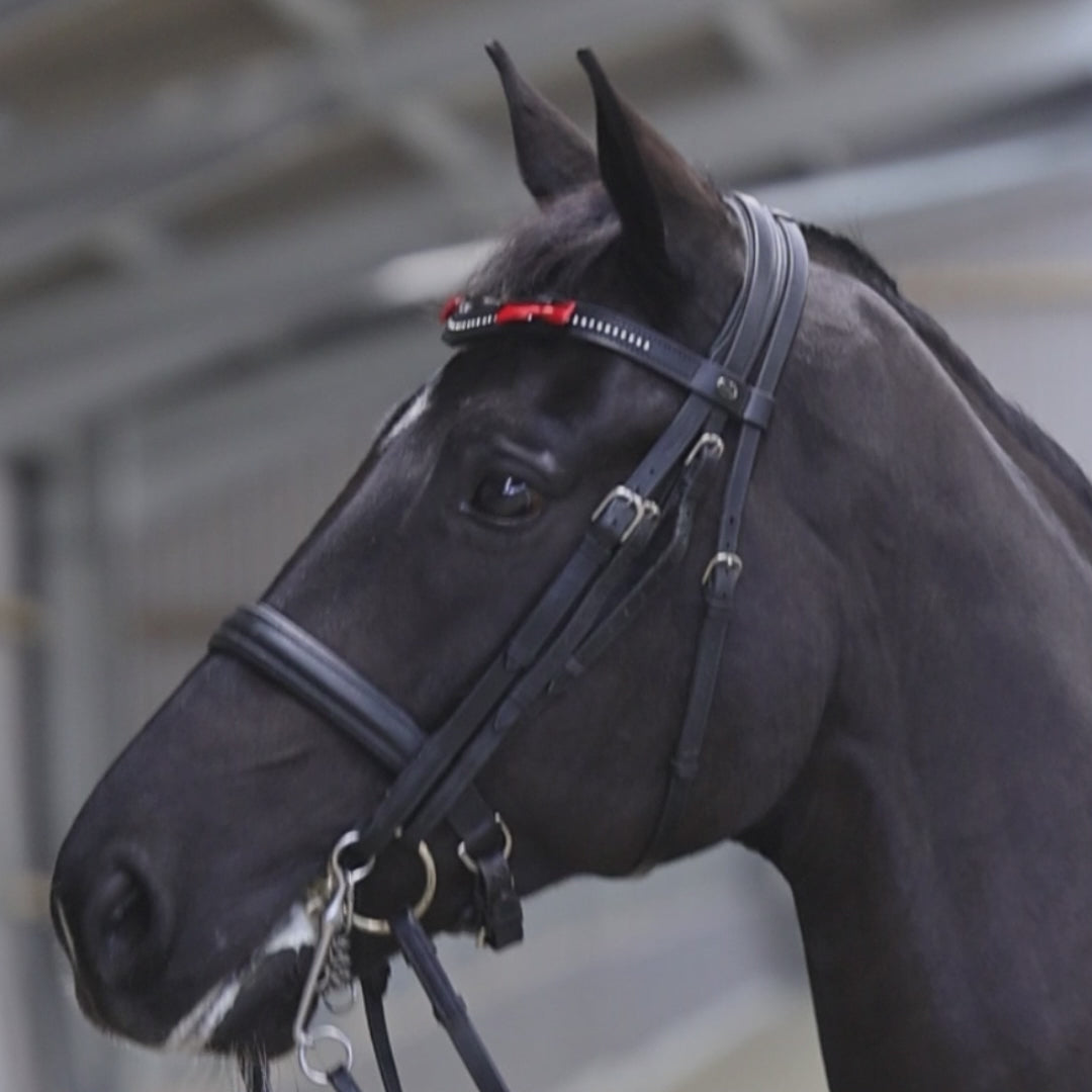 Equetech Horse Bridle Warning Ribbons Red