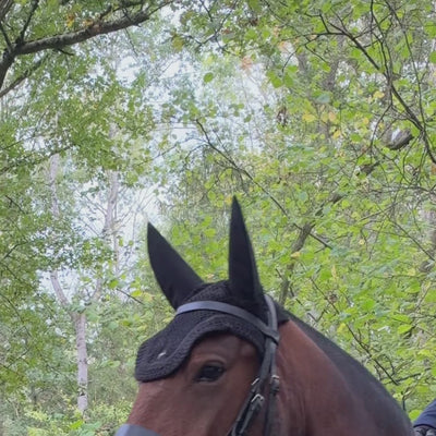 Bay horse with a rider wearing the Equetech Stratus Waterproof Riding Jacket