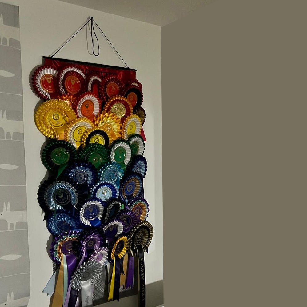 Rosette Holder Display Hanger - Equetech