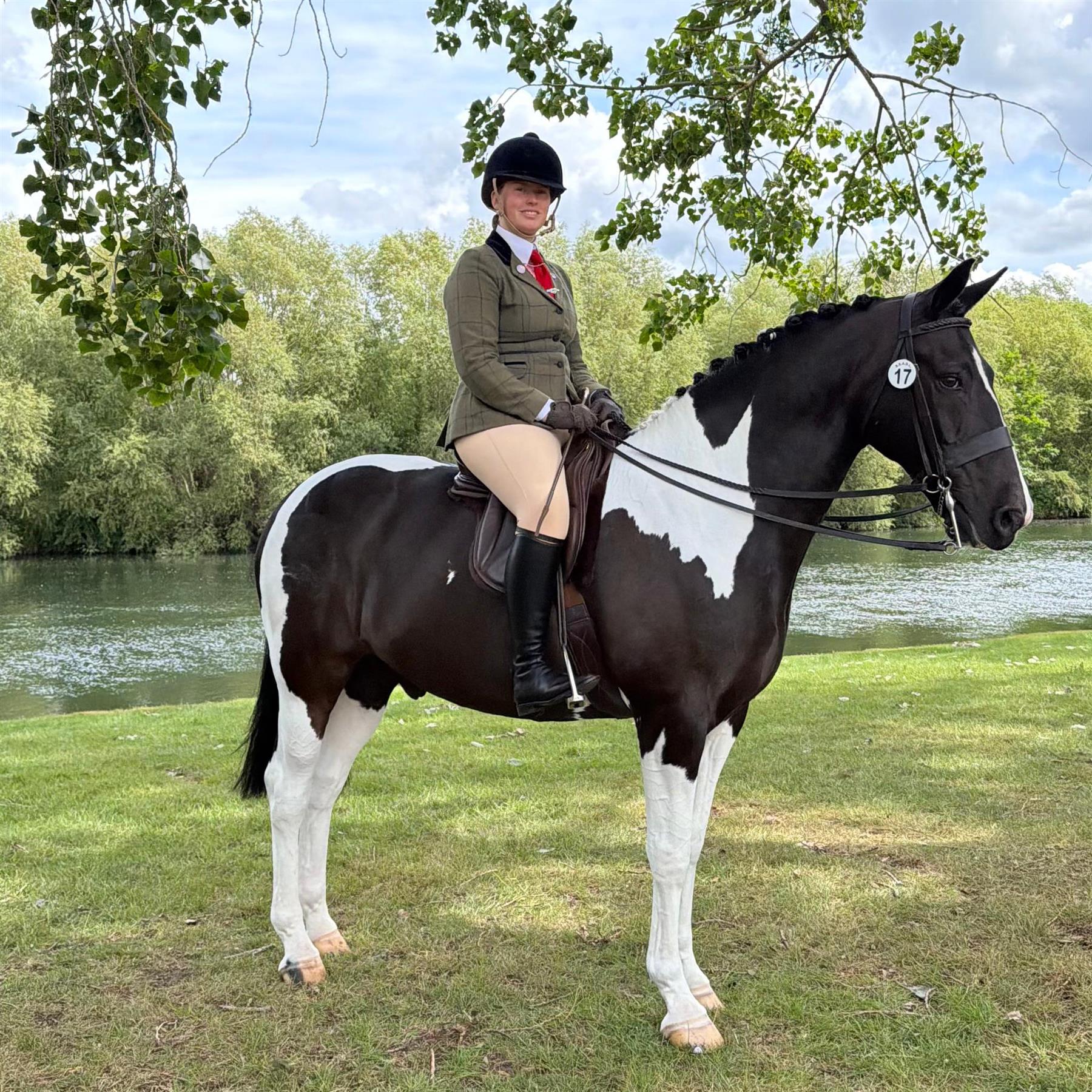 Sheepskin Showing Numnah - Equetech