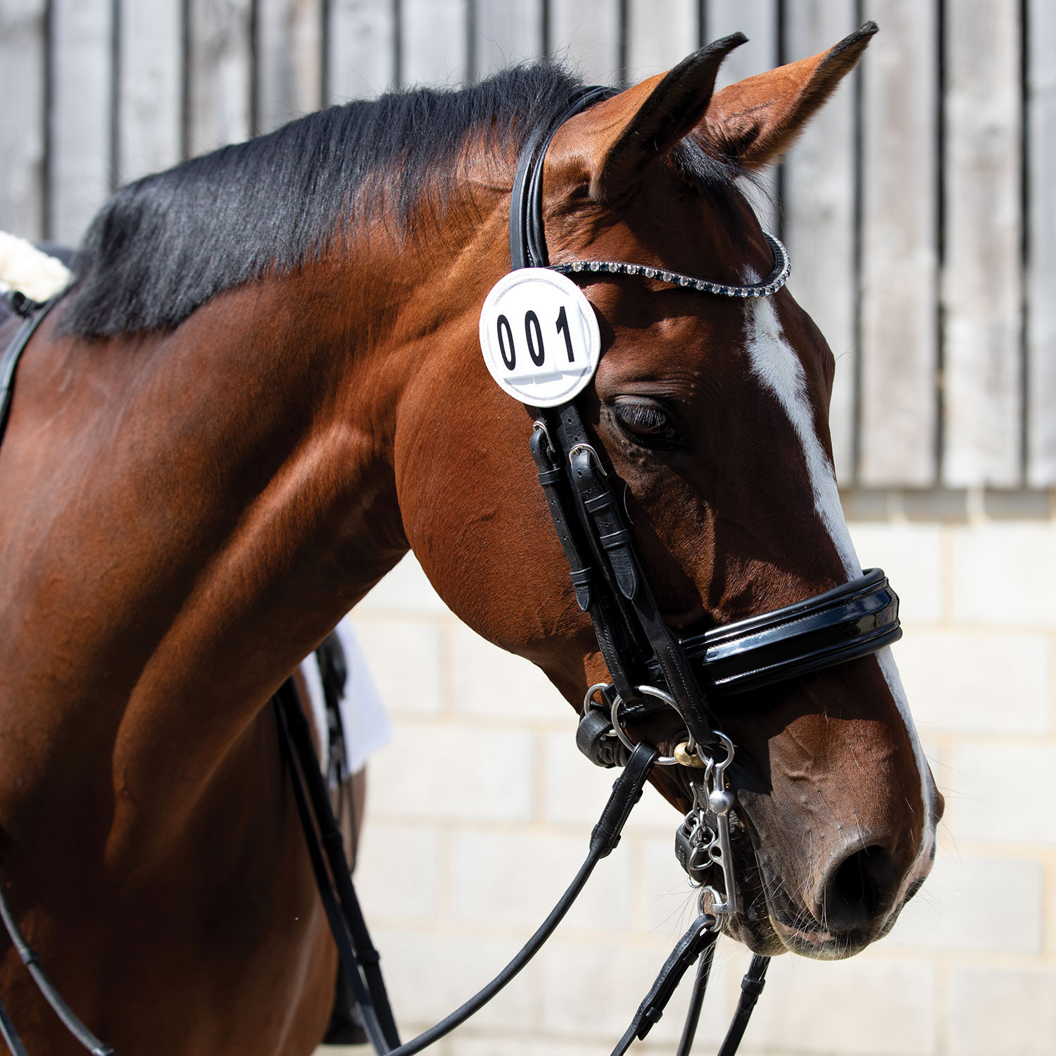 Two Show & Competition Square Bridle Number Start Numbers 3 Digit Sold In Pairs 